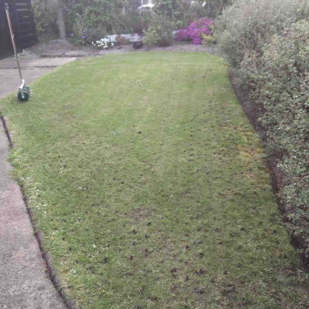 best aerator for lawn
