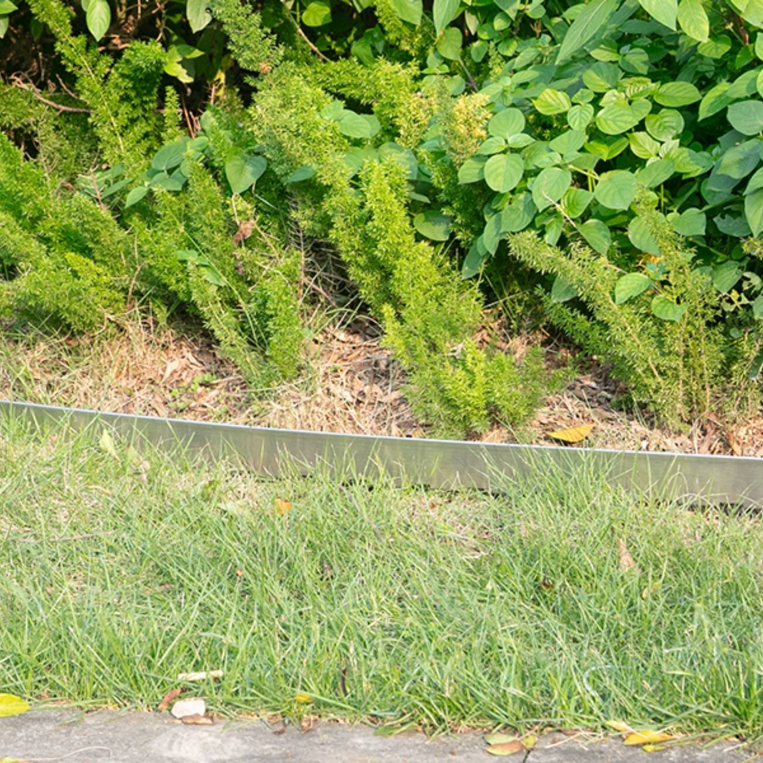 best stainless steel lawn edging