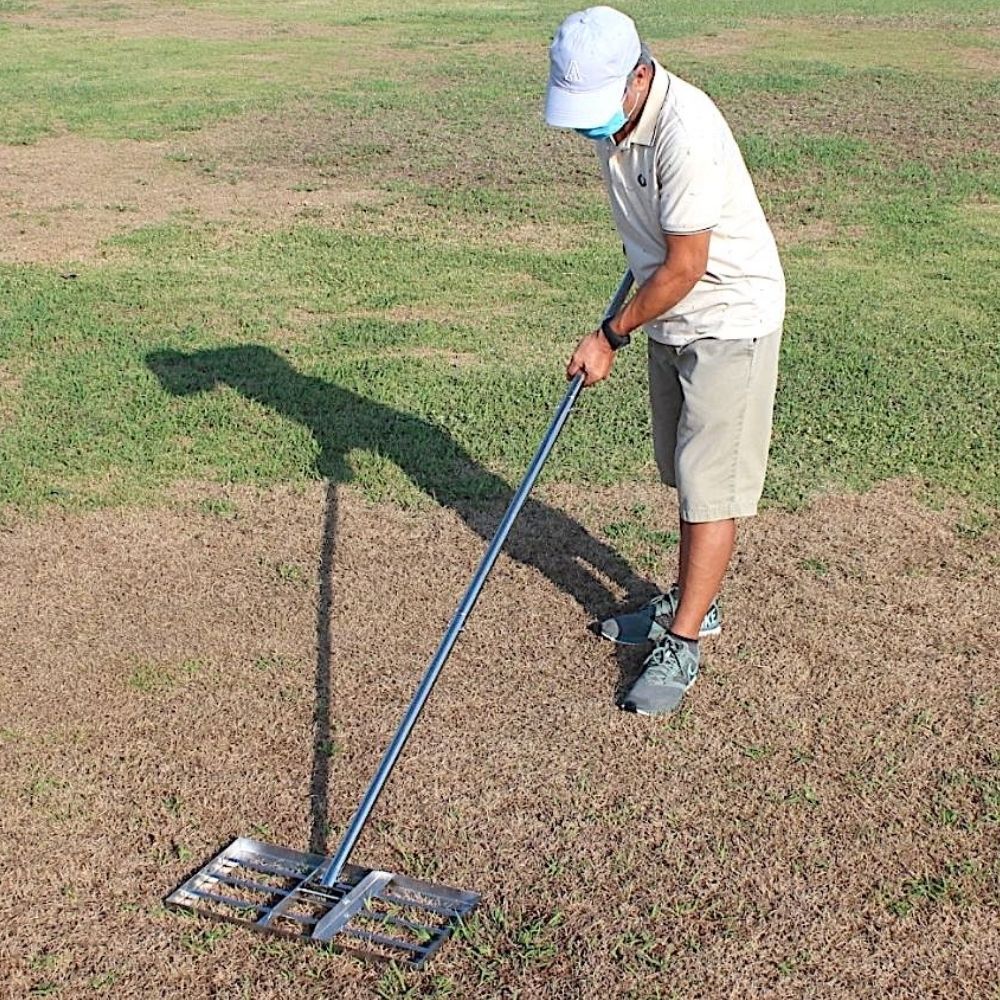 buy lawn level rake near me
