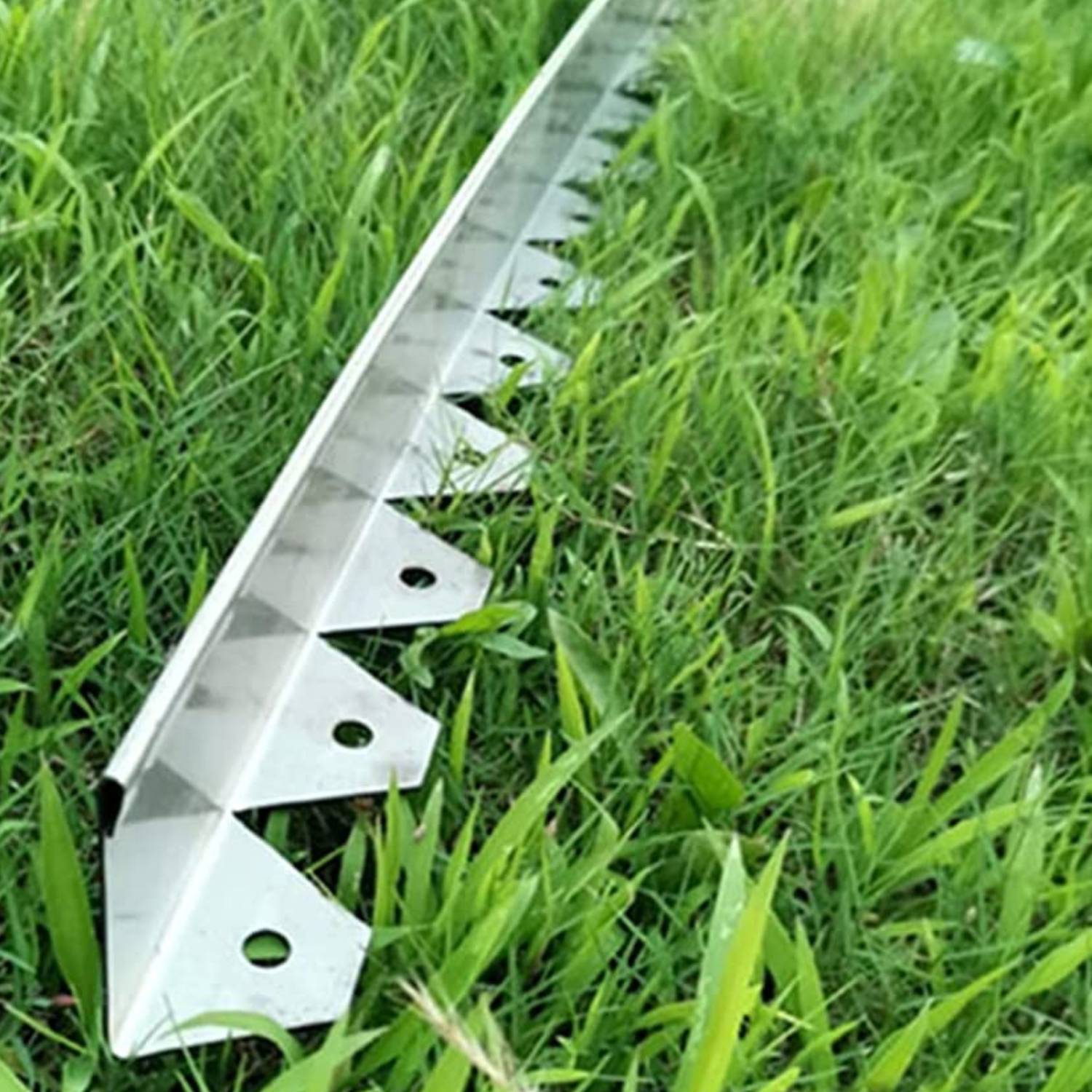 Stainless Steel Landscape Edging (50mm Face Height (per m)): image 7
