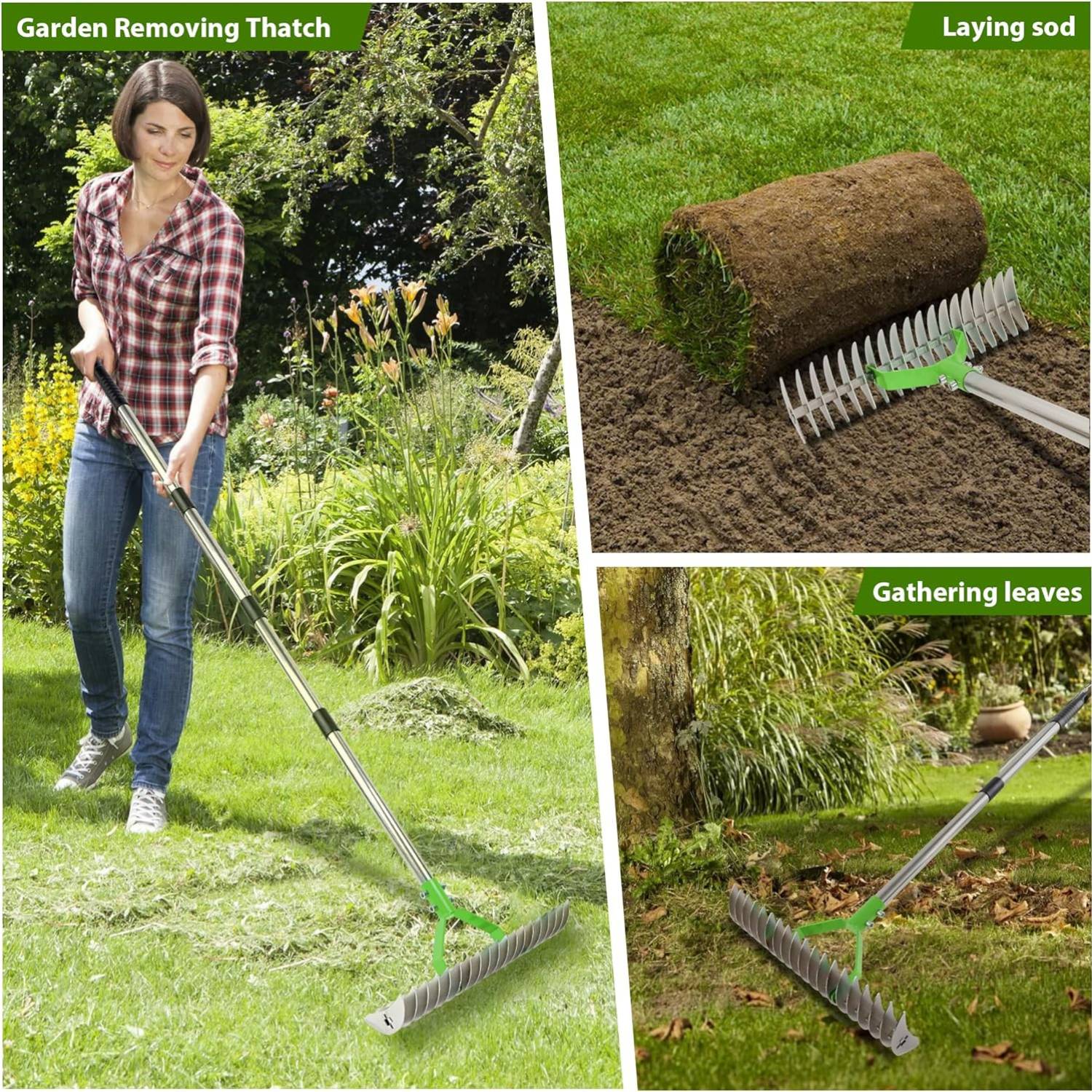 Lawn Thatcher Rake